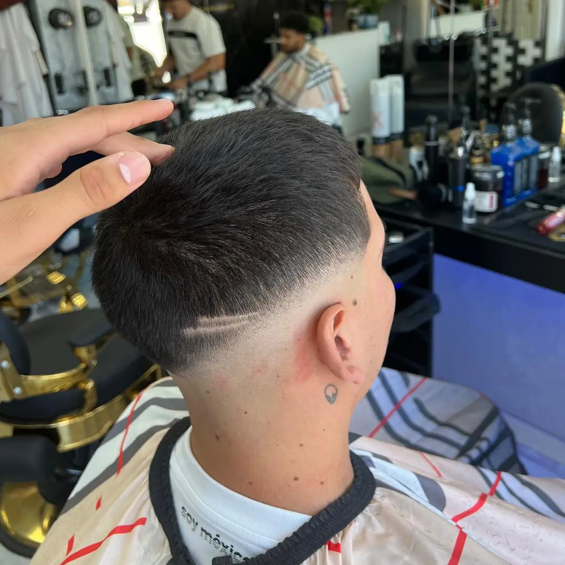 WhatsApp Image 2026 02 11 at 12.37.17 5